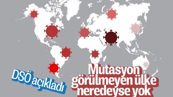 DSÖ Türkiye Temsilcisi koronavirüste mutasyon görülen ülke sayısını verdi